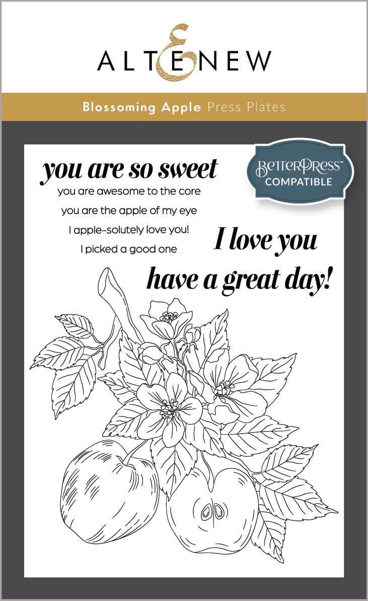 Seasonal Splendors Press Plate Bundle