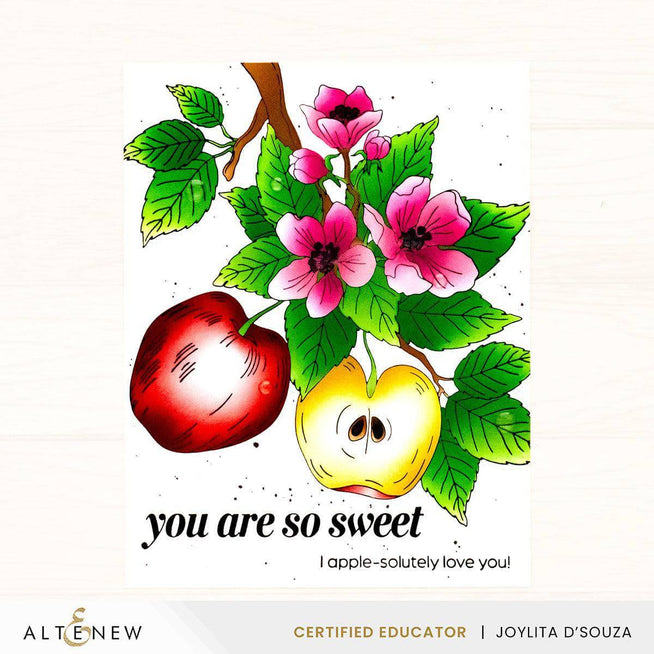 Altenew Seasonal Splendors Betterpress Plate Bundle with floral and seasonal designs on metal press plates for crafting.