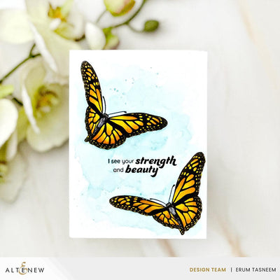 Beautiful Butterfly Press Plate Set