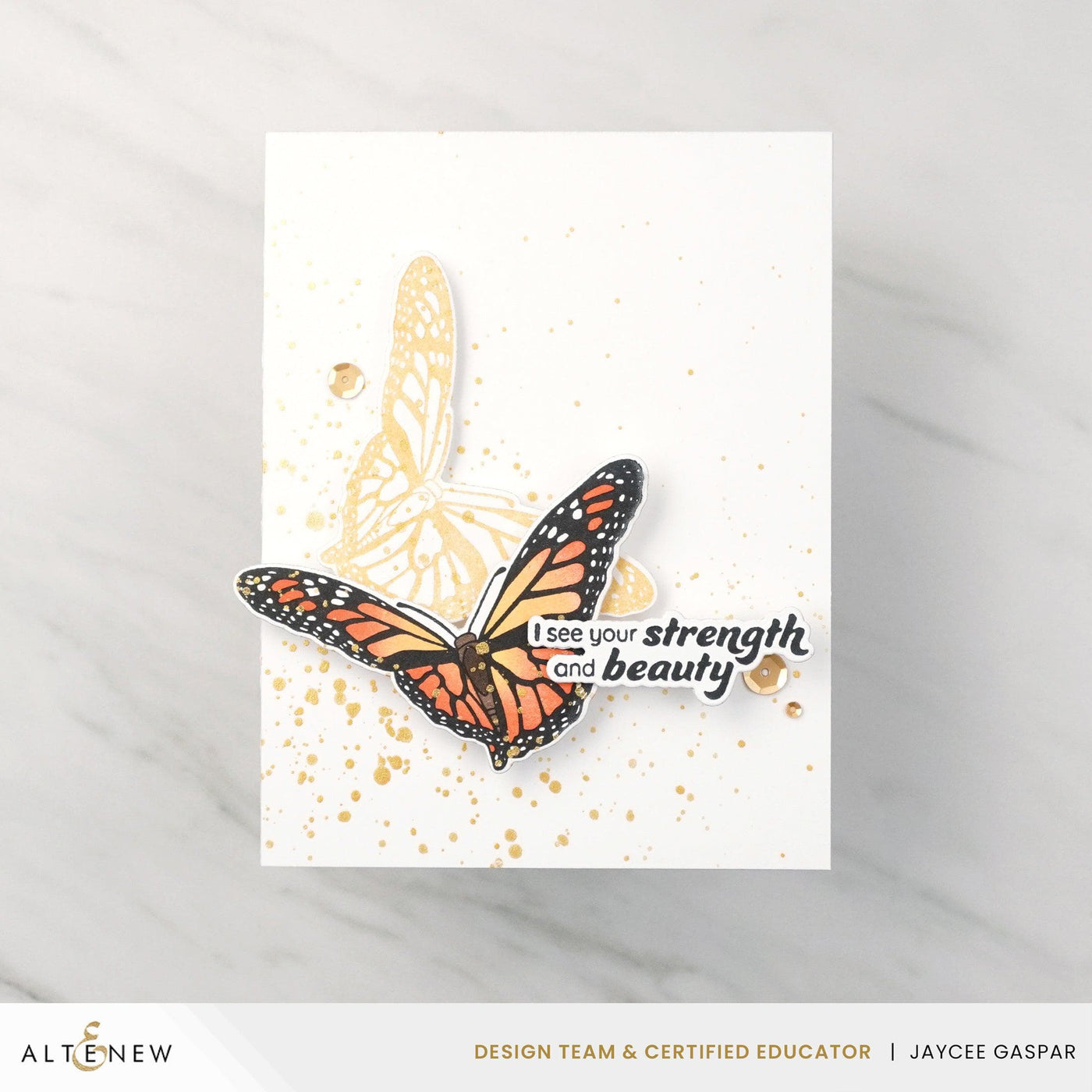 Beautiful Butterfly Press Plate Set