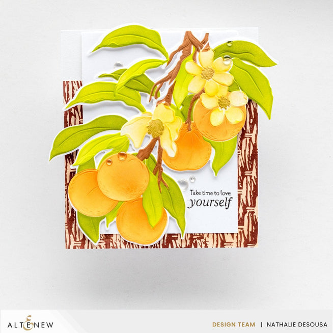 Altenew Betterpress Essential Textures Press Plate Bundle with basketweave design for crafting and embossing projects.