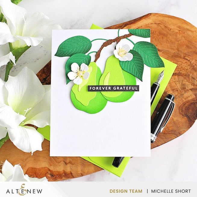 Altenew One-Go Solid Sentiment Strips Betterpress Plates set with 3 gratitude-themed foil and press plates for crafting.