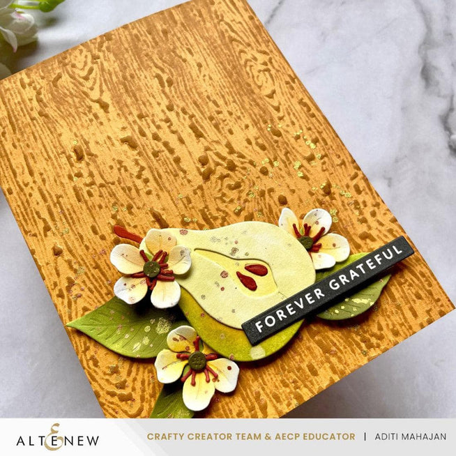 Altenew Betterpress Solid Sentiment Strips with 3 press plates and foil plates in Gratitude Edition for card making and crafts.