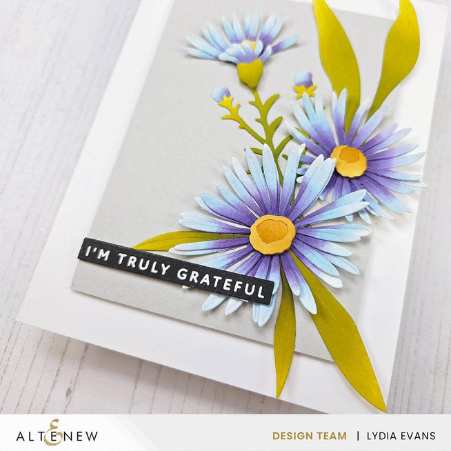 Altenew One-Go Solid Sentiment Strips Betterpress Plates with 3 press and foil plates, Gratitude Edition for card making.