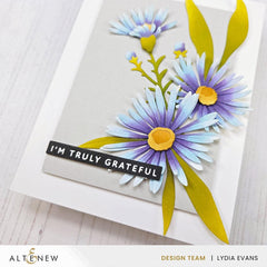 One-Go: Solid Sentiment Strips 3 Press Plates/Foil Plates (Gratitude Edition)