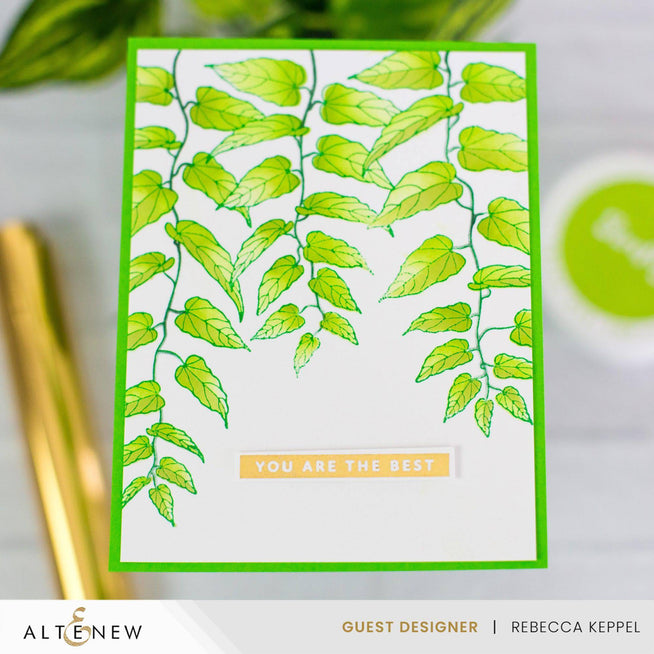 Altenew Cascading Vines Betterpress Plate and Stencil Bundle featuring intricate vine patterns for card making and crafts.