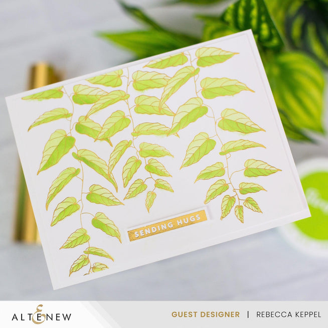 Altenew Cascading Vines Betterpress Plate and Stencil Bundle featuring intricate vine designs for crafting and printing projects.