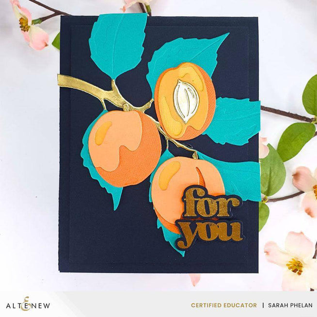 Altenew Betterpress Versatile Greetings 3 Press Plates from the Comfort Edition, showcasing intricate floral and greeting designs.