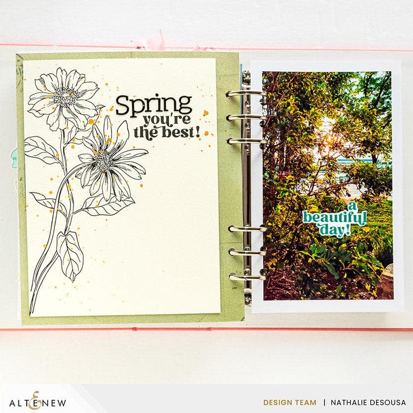 Spellbinders Betterpress Plates Wild Daisies Press Plate