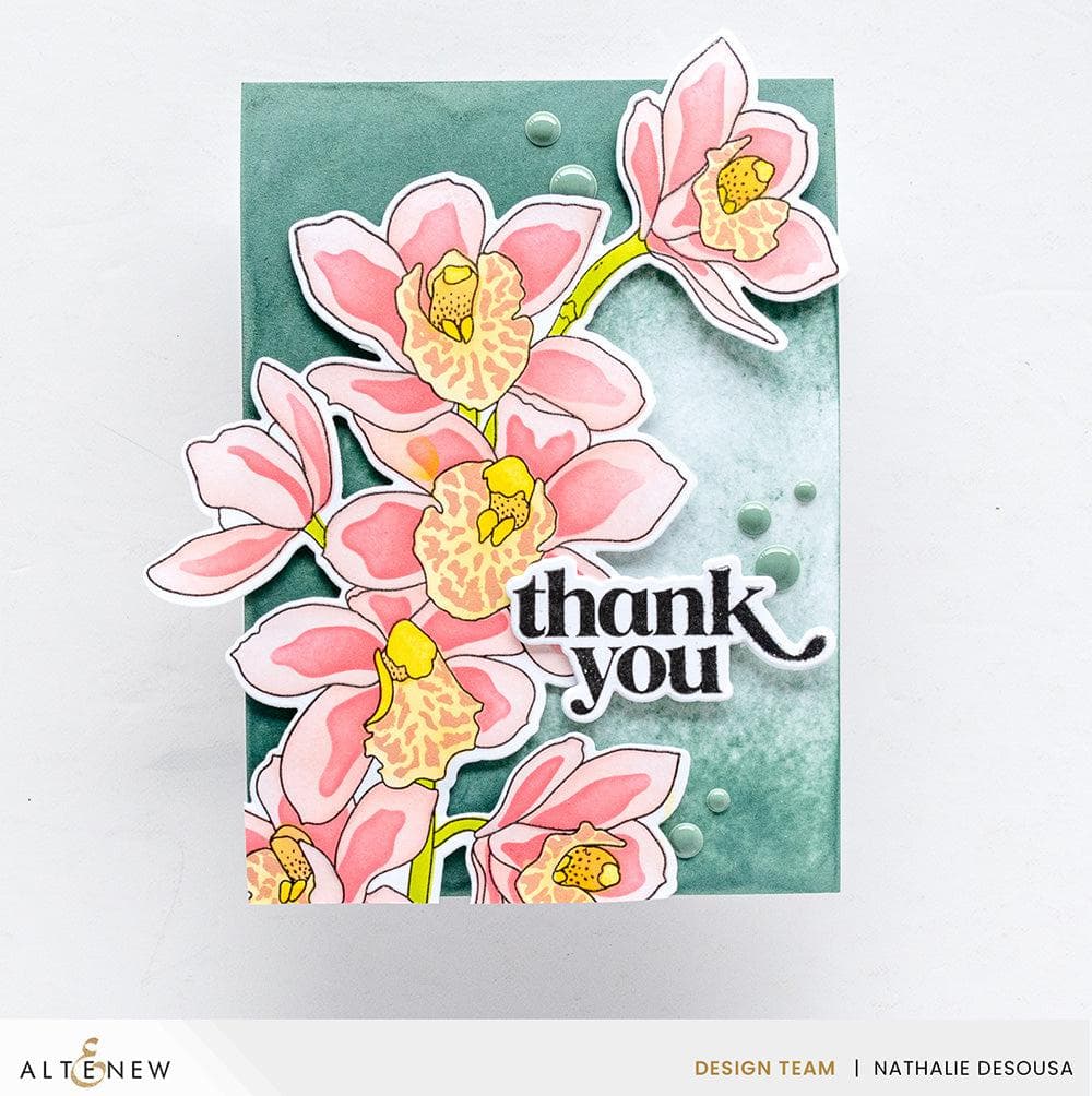 Build-A-Garden: Alluring Orchids & Add-on Die Bundle