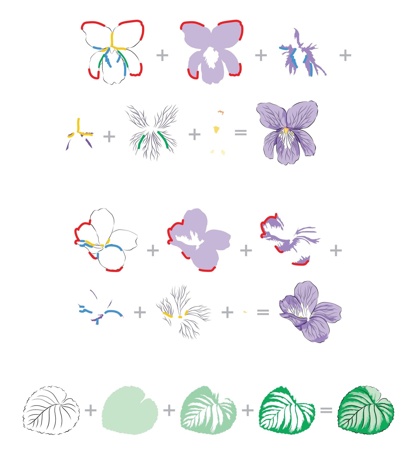Altenew Build-A-Flower Set Build-A-Flower: Sweet Violet Layering Stamp & Die Set