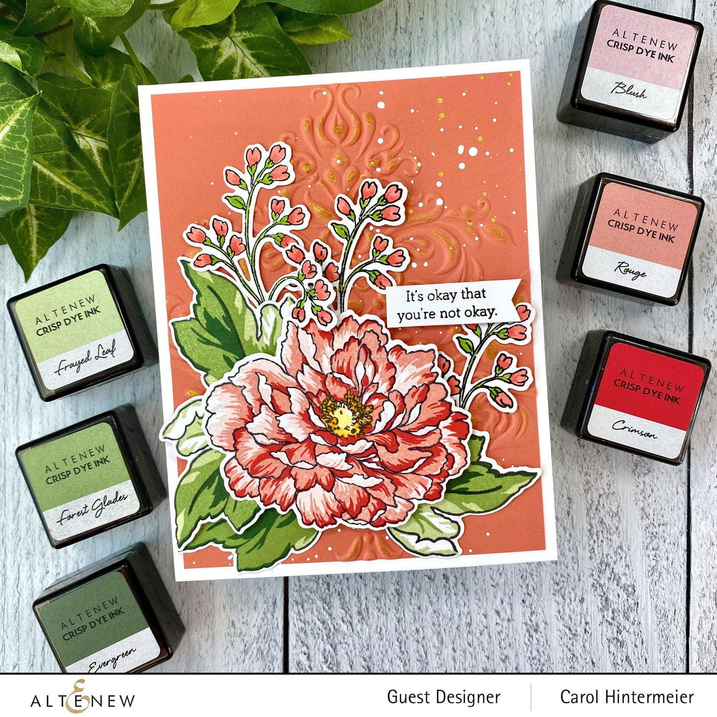 Altenew | Card Making, Scrapbooking & Paper-Crafting Supplies! Build-A-Flower Set Build-A-Flower: Tree Peony Layering Stamp & Die Set & Ink Bundle