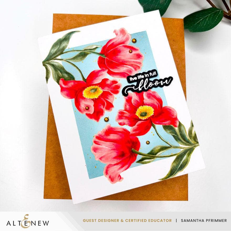 Build-A-Garden: Through the Tulips & Add-on Die Bundle