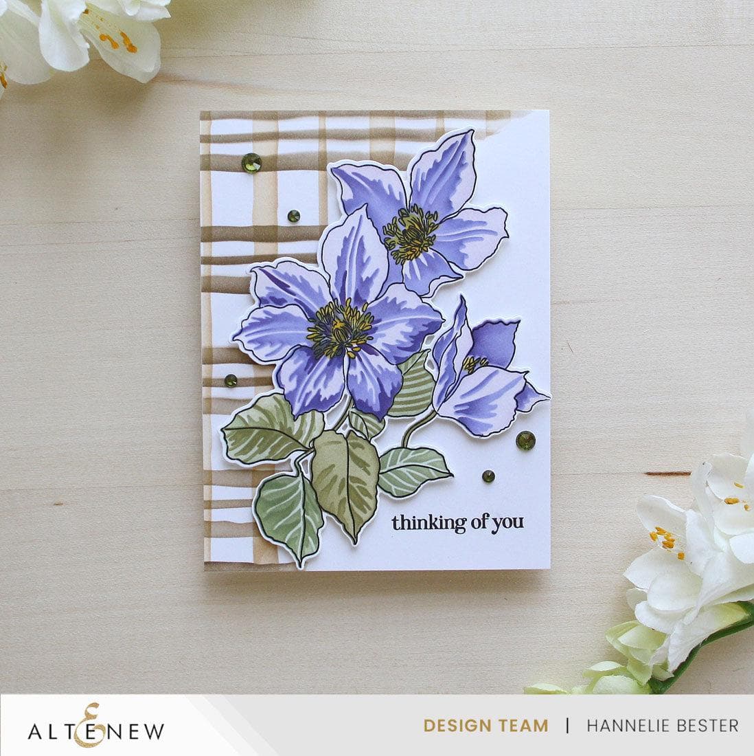 Build-A-Garden: Climbing Clematis