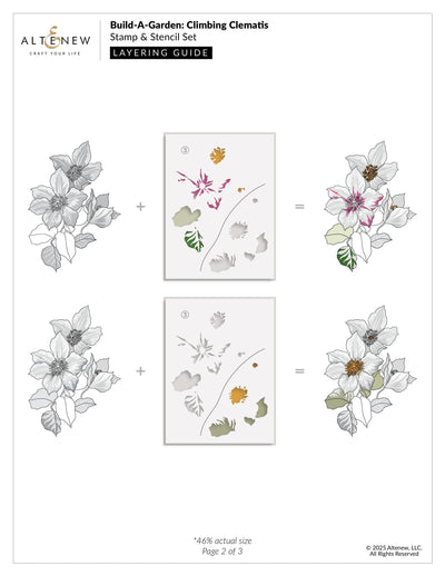 Build-A-Garden: Climbing Clematis