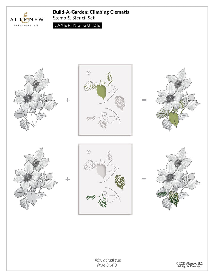 Build-A-Garden: Climbing Clematis