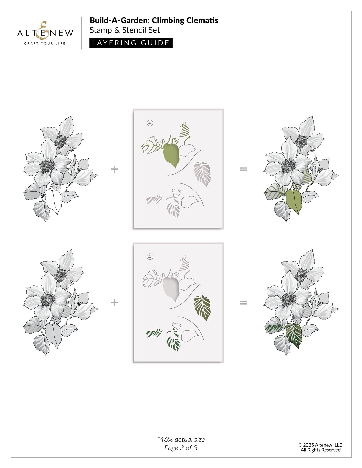 Build-A-Garden: Climbing Clematis