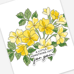 Build-A-Garden Monthly Subscription Plan