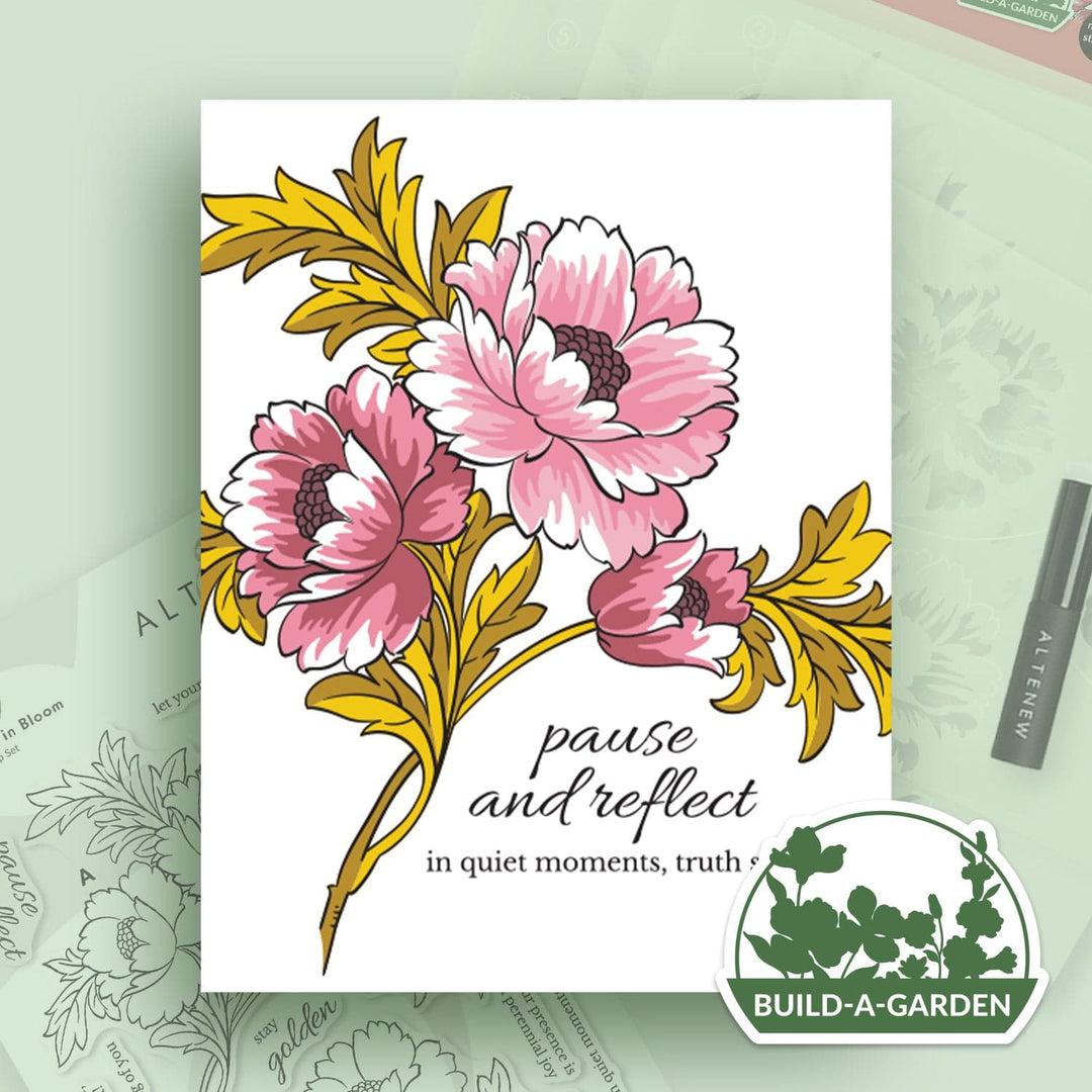 Build-A-Garden Monthly Subscription Plan