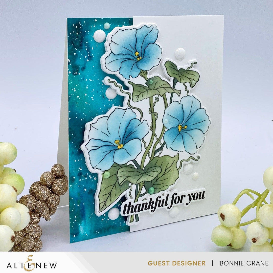 Build-A-Garden: Morning Glory