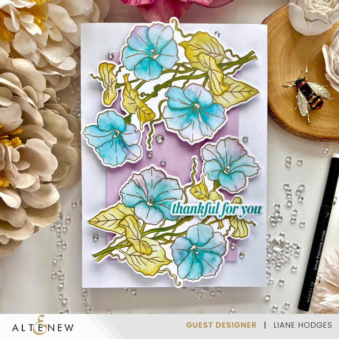 Build-A-Garden: Morning Glory