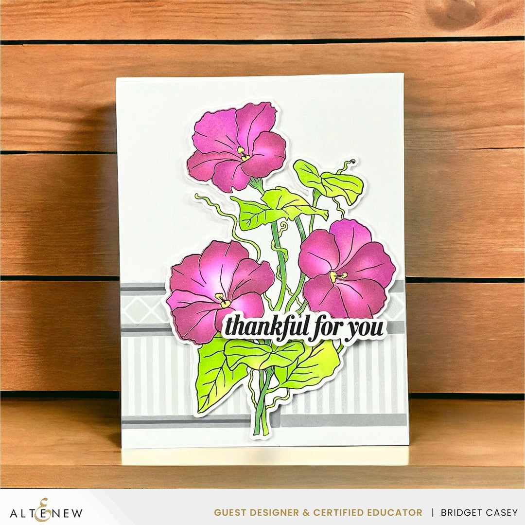 Build-A-Garden: Morning Glory