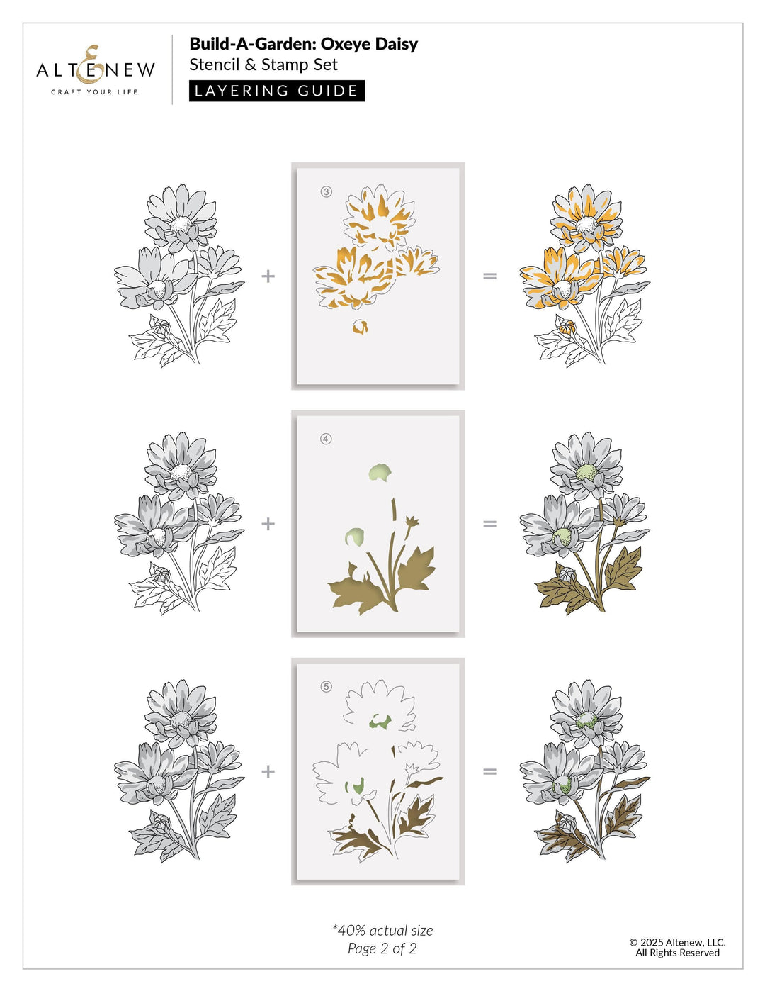 Build-A-Garden: Oxeye Daisy