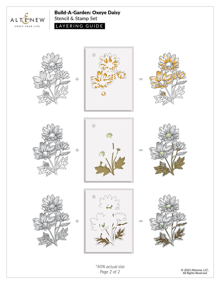 Build-A-Garden: Oxeye Daisy