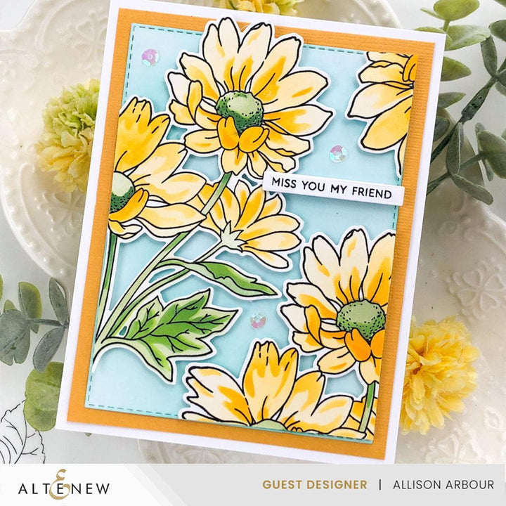 Build-A-Garden: Oxeye Daisy