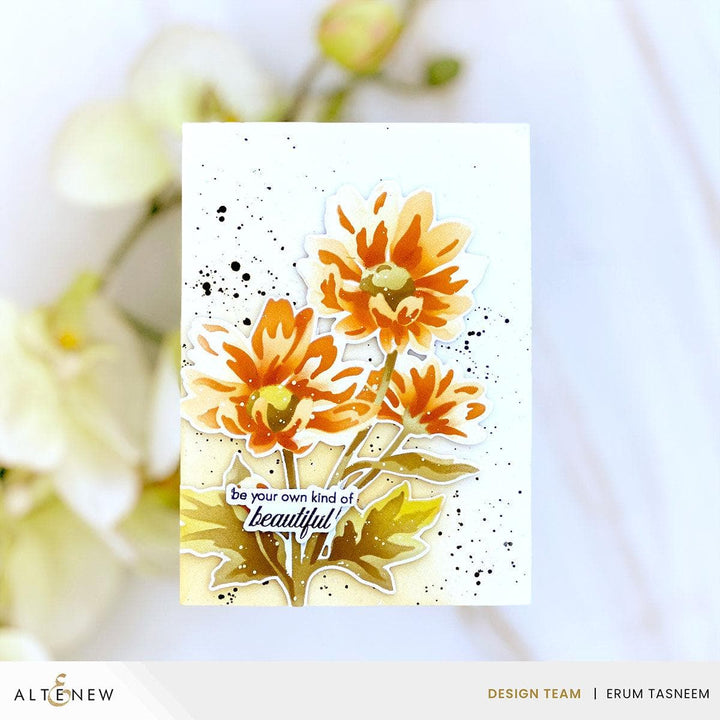 Build-A-Garden: Oxeye Daisy