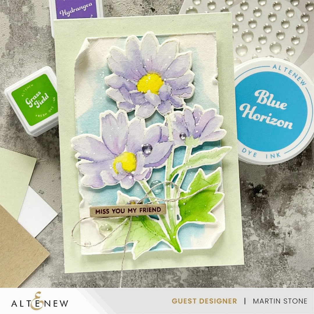 Build-A-Garden: Oxeye Daisy