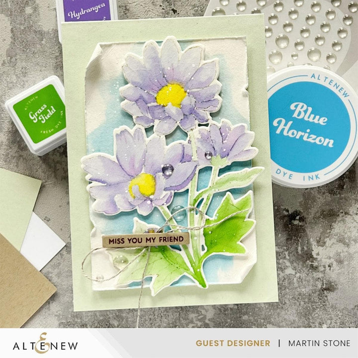 Build-A-Garden: Oxeye Daisy