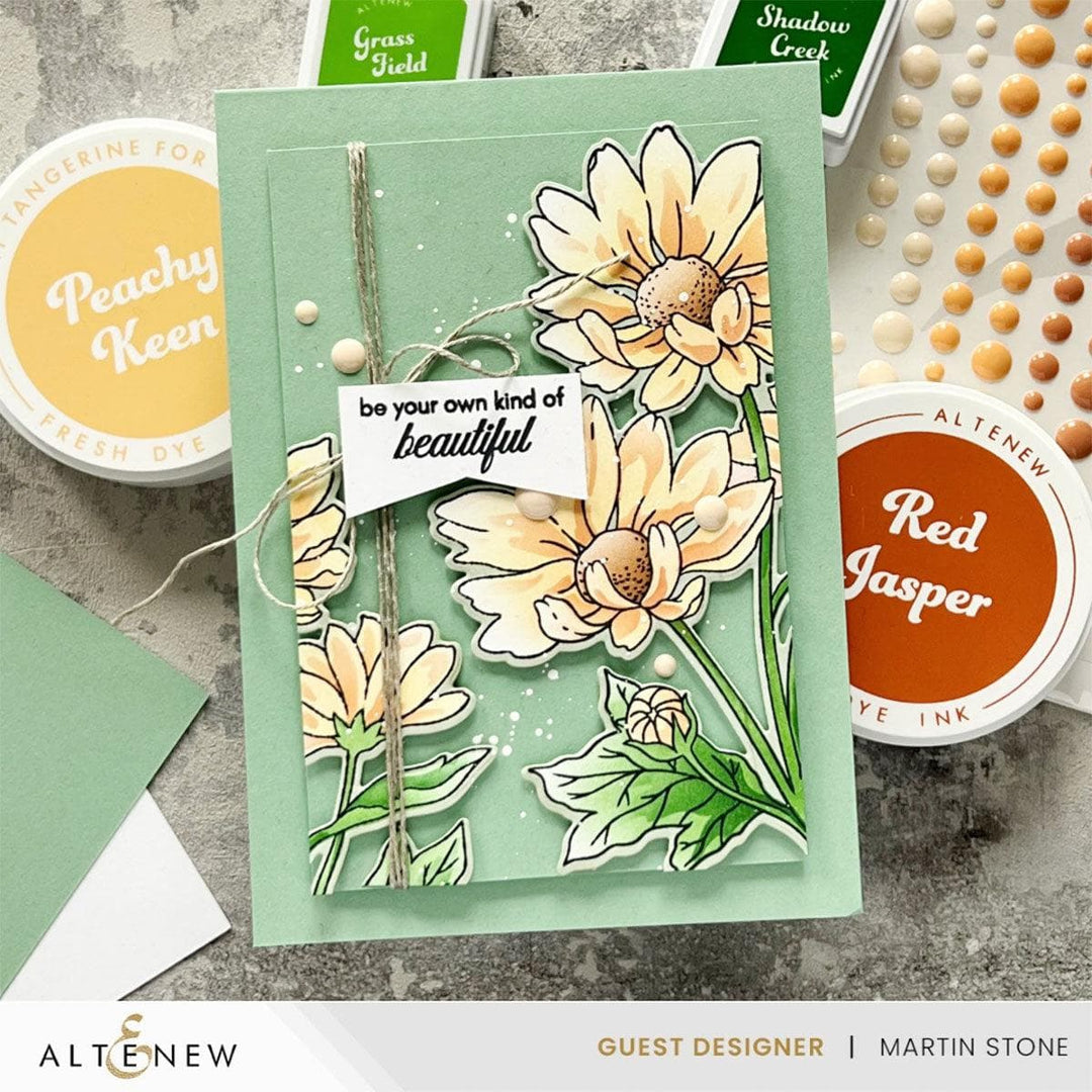 Build-A-Garden: Oxeye Daisy