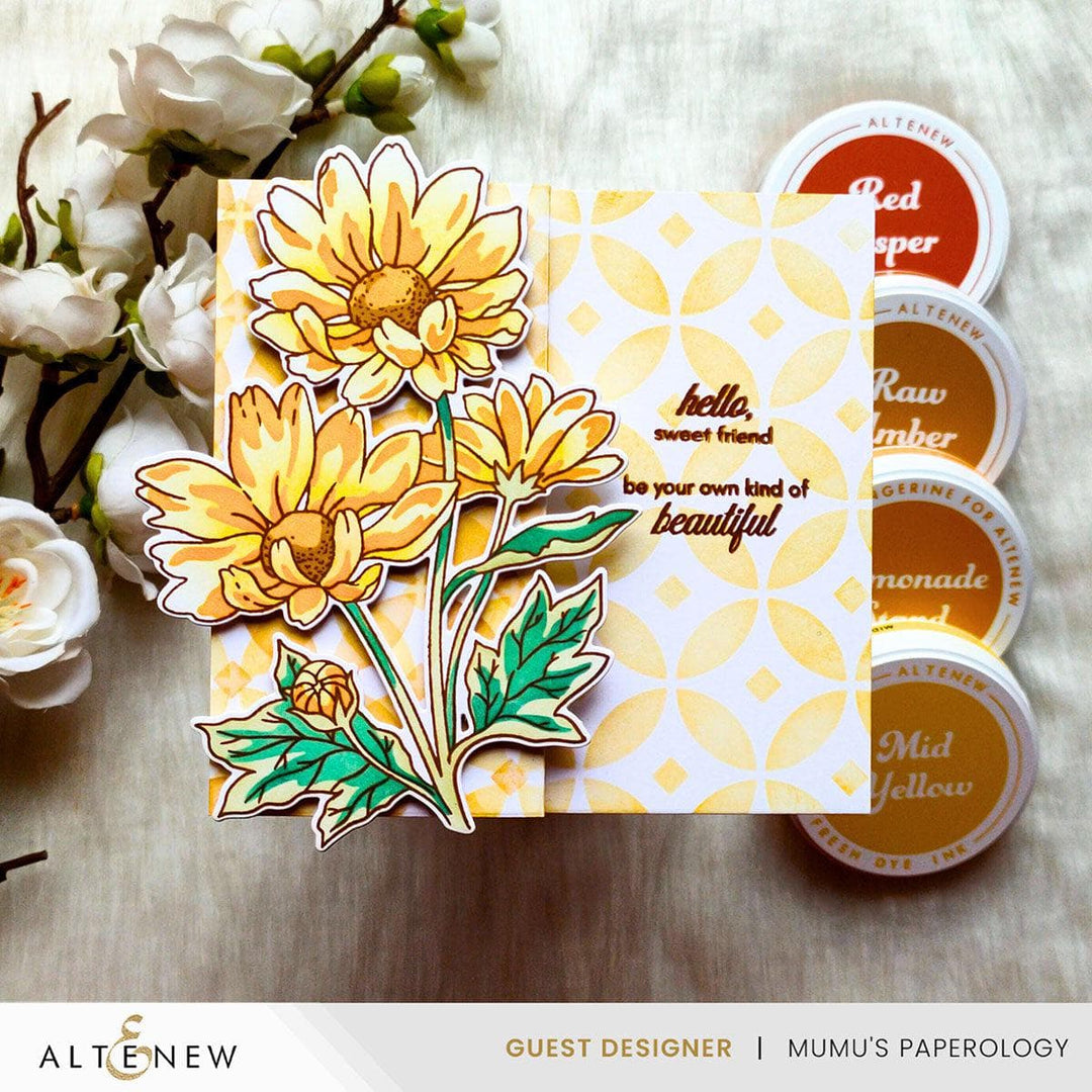 Build-A-Garden: Oxeye Daisy