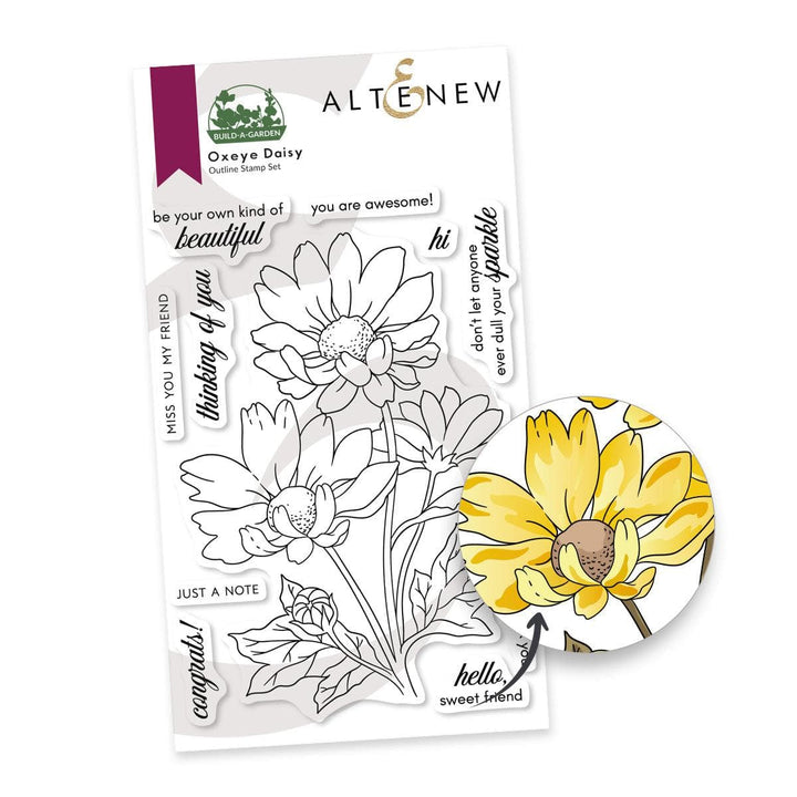 Build-A-Garden: Oxeye Daisy