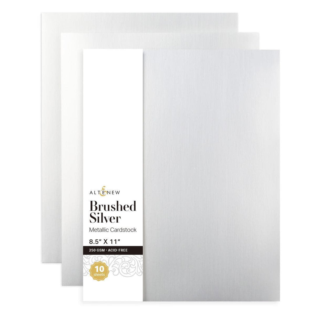 Ningbo Vivi Stationery & Gift Co.,Ltd Cardstock Brushed Silver Metallic Cardstock (10 sheets/set)