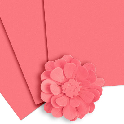 Crafty Necessities Cardstock Bundle