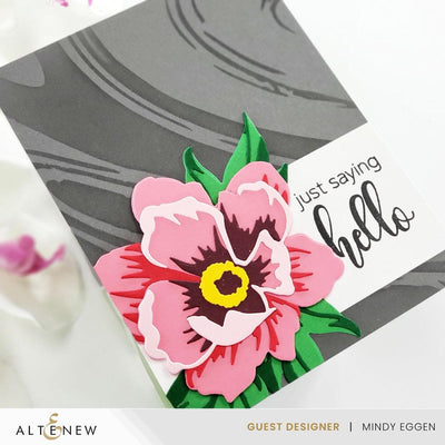 Limited Edition: Solid Cardstock Bundle