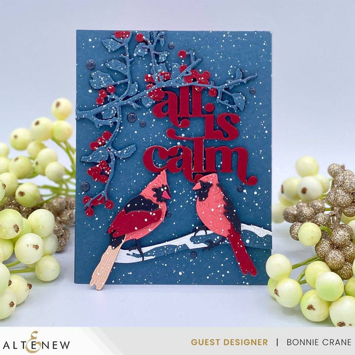 The Ultimate Cardstock Sampler Pack