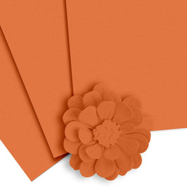 Crafty Necessities: Amber Blaze Cardstock (10 sheets/set)
