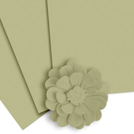 Crafty Necessities: Misty Sage Cardstock (10 sheets/set)
