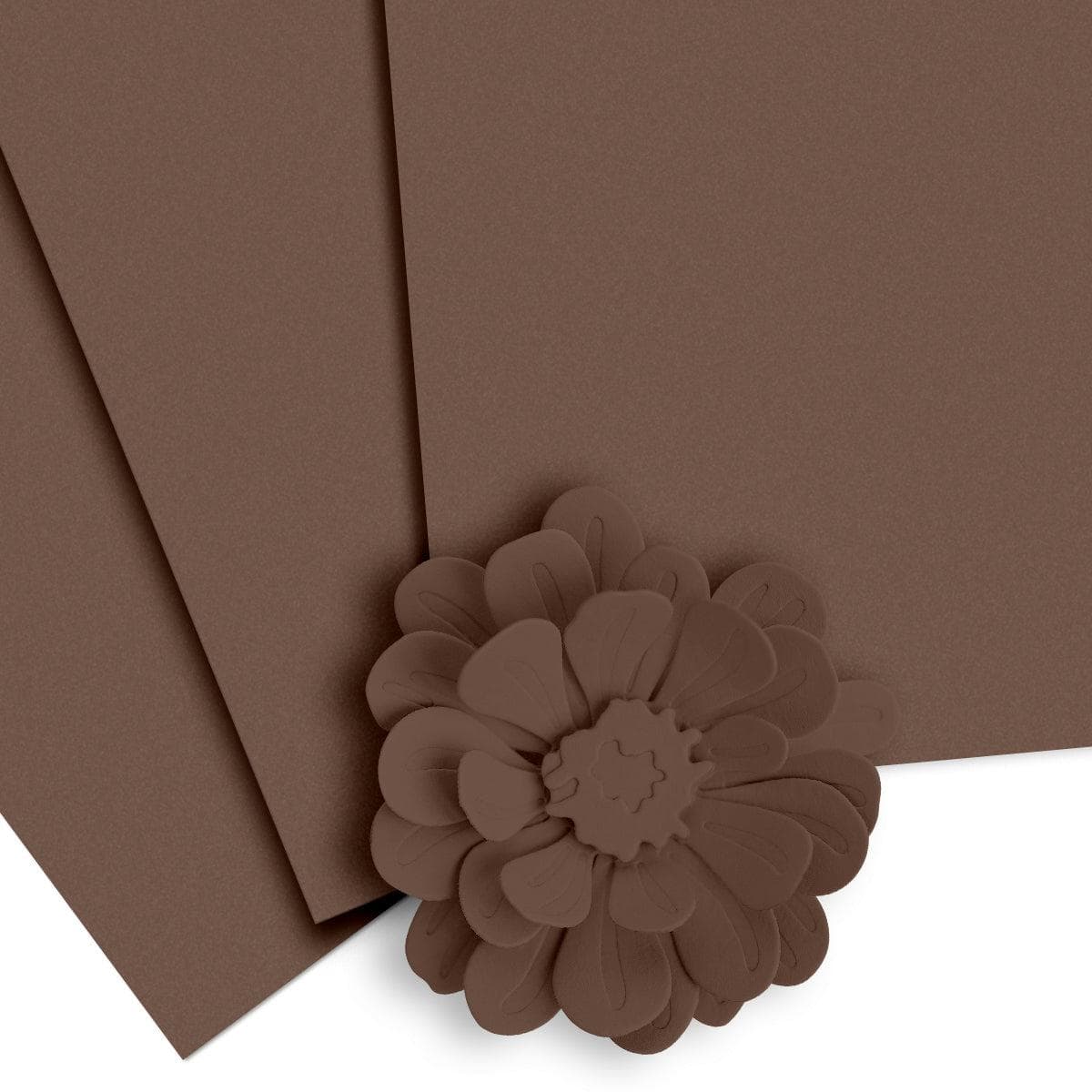 Crafty Necessities: Mocha Cardstock (10 sheets/set)