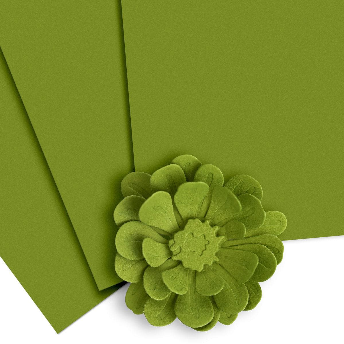 Crafty Necessities: Olive Cardstock (10 sheets/set) | Altenew