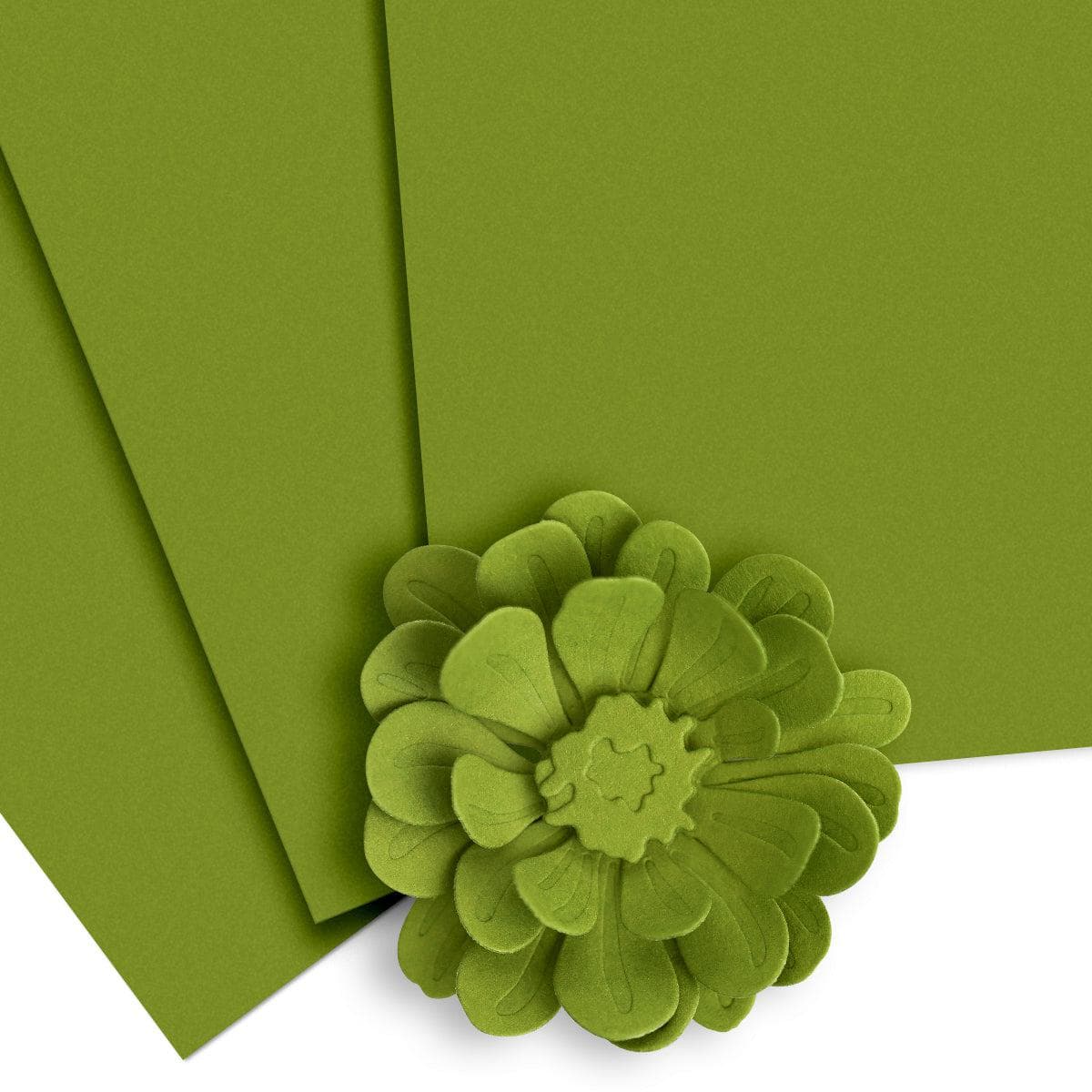 Crafty Necessities: Olive Cardstock (10 sheets/set)