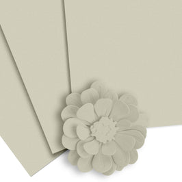 Crafty Necessities: Sagestone Cardstock (10 sheets/set)