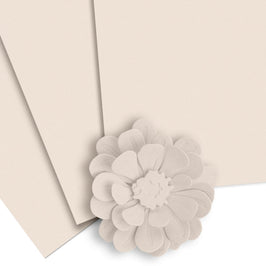 Crafty Necessities: Shattered Shell Cardstock (10 sheets/set)