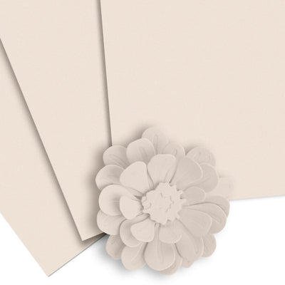 Crafty Necessities: Shattered Shell Cardstock (10 sheets/set)
