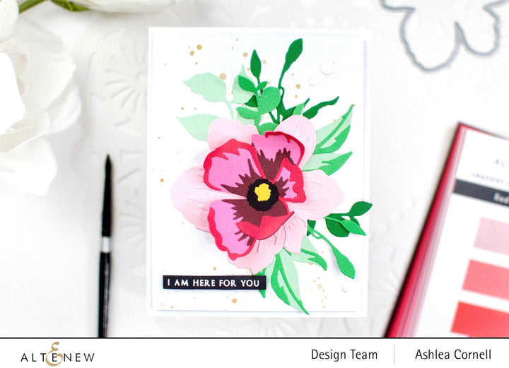 EXP Factors Cardstock Gradient Cardstock Set - Green Meadows