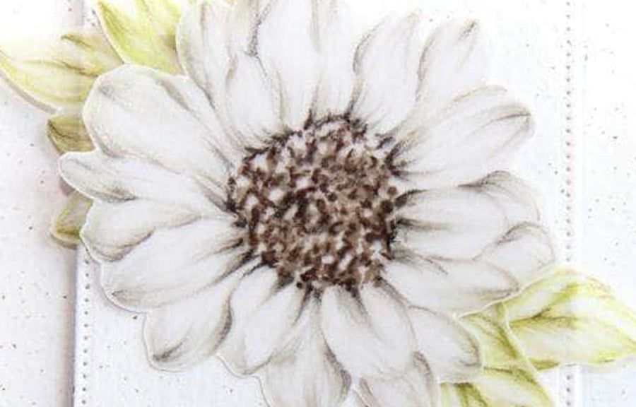 Beautiful Details Online Cardmaking Class class schedule