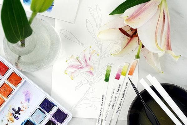 Altenew Class Botanical Illustration Inspired Watercolor: Advanced Watercolor Techniques Online Class